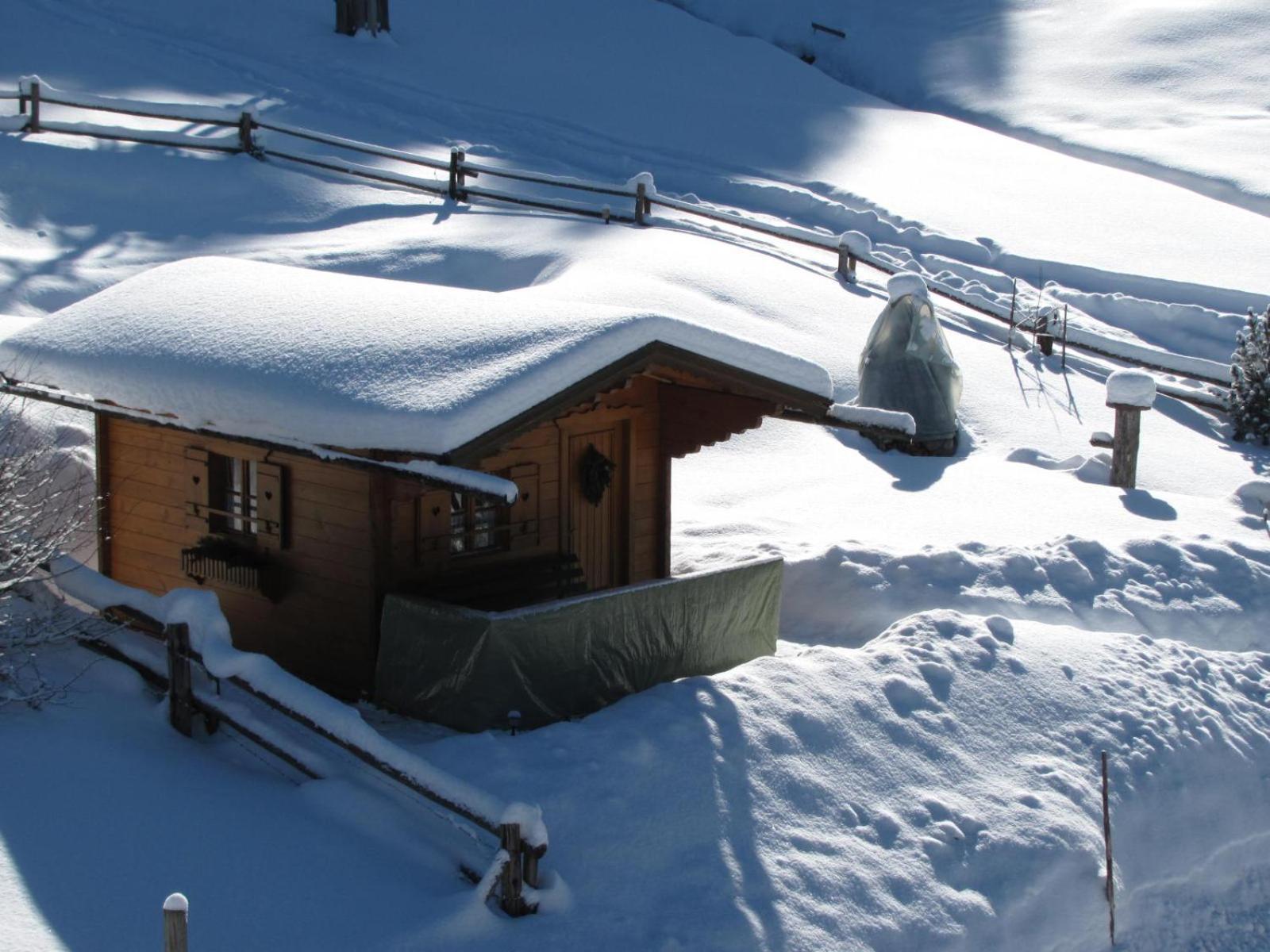 Haus Wallinger Abtenau Bagian luar foto