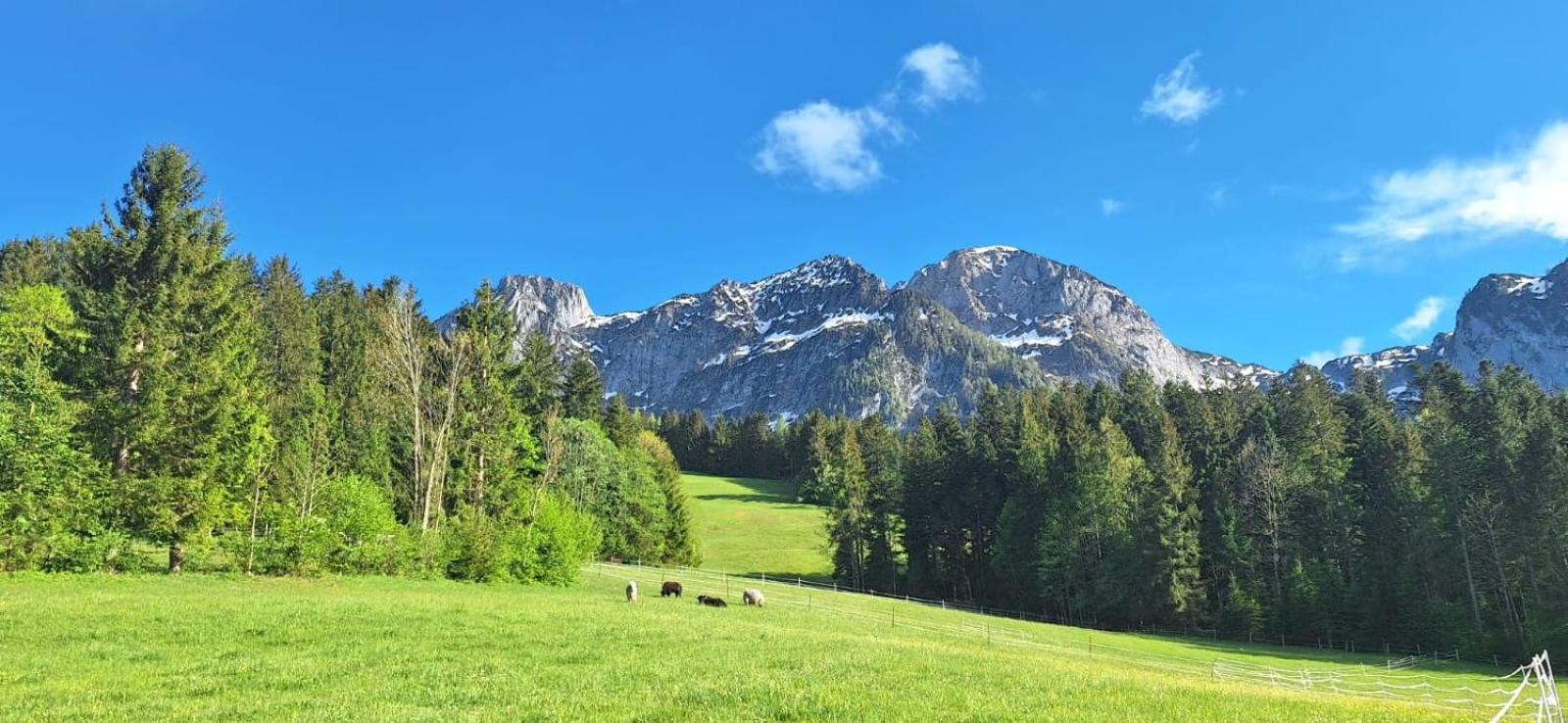 Haus Wallinger Abtenau Bagian luar foto