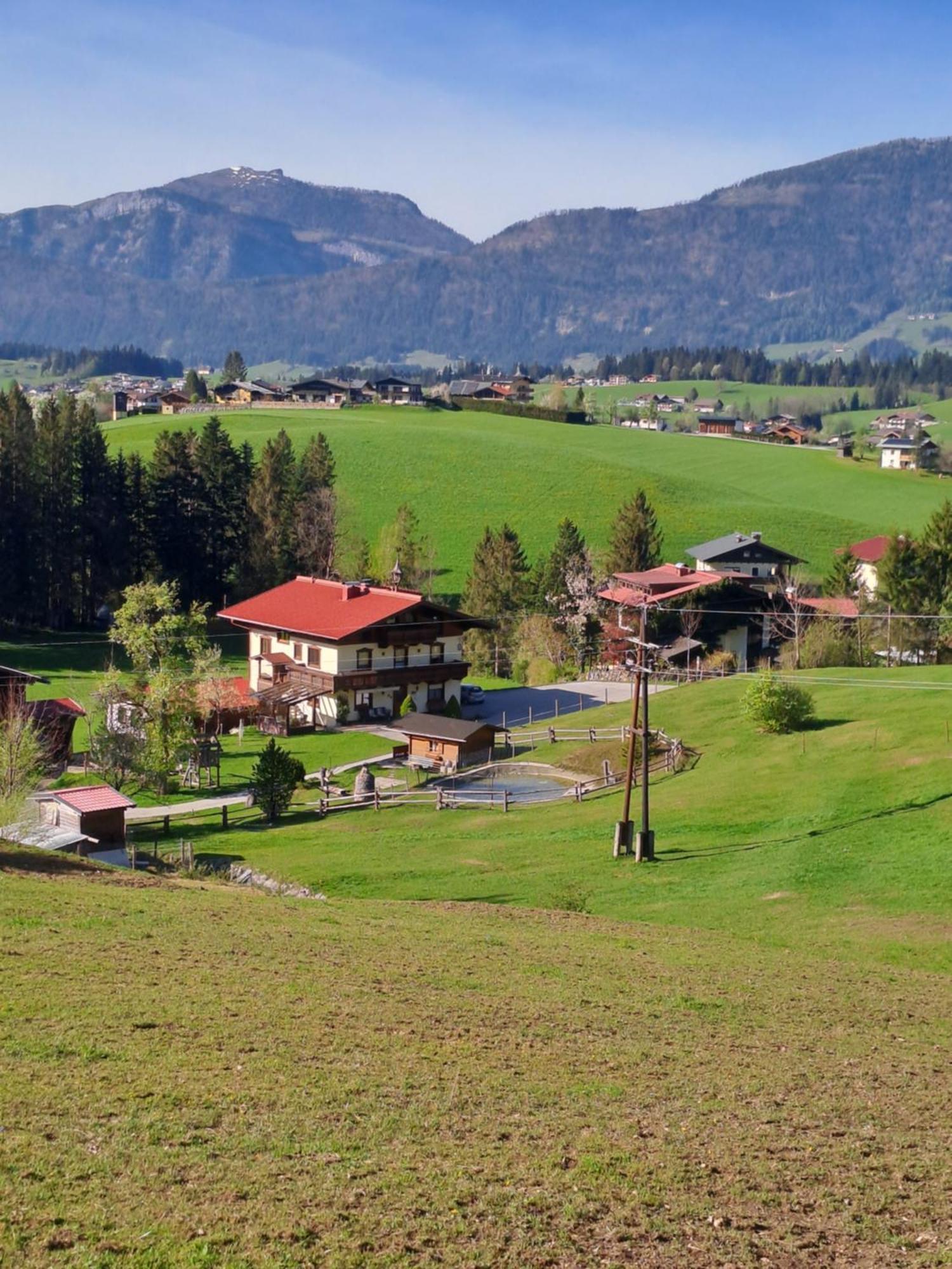 Haus Wallinger Abtenau Bagian luar foto