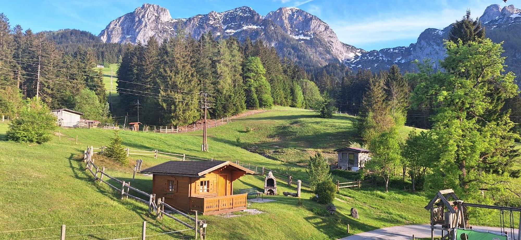 Haus Wallinger Abtenau Bagian luar foto