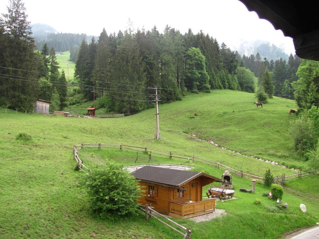 Haus Wallinger Abtenau Bagian luar foto